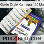 Gelée Orale Kamagra 100 Mg 11